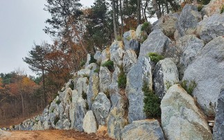 CFNTS 생태자연석 절토부